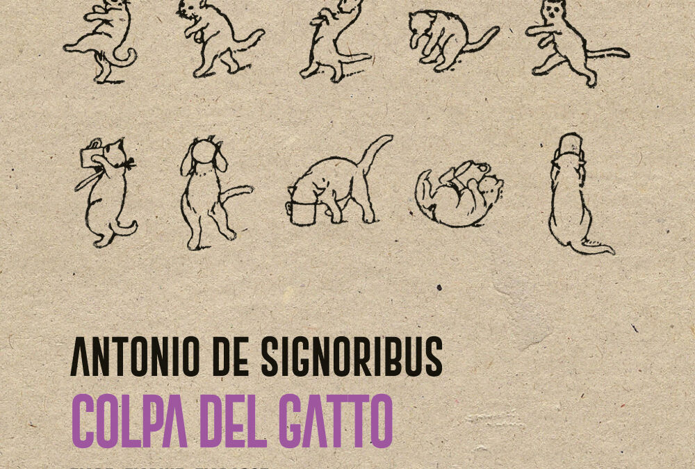 “Colpa del gatto” – Antonio De Signoribus